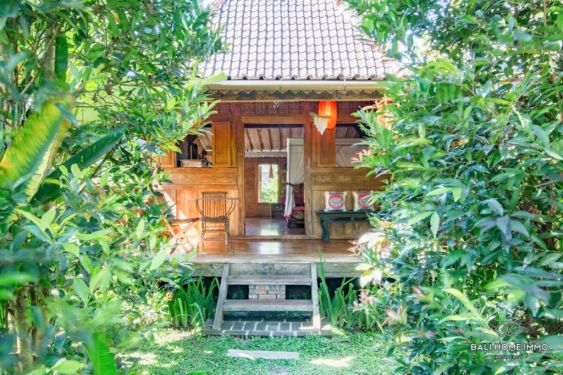 Image 3 from 8 Bedroom Cottage for Sale Leasehold in Bali Ubud