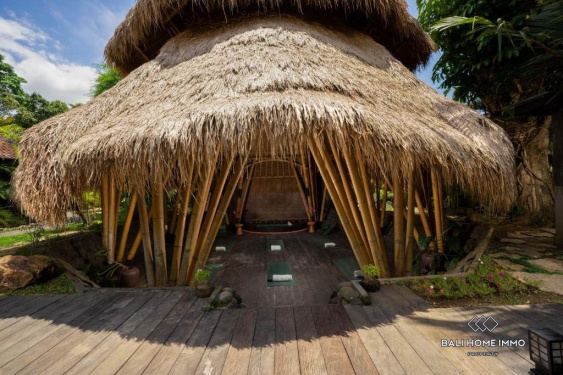 Image 17 from 8 Bedroom Jungle View Villa For Sale In Ubud