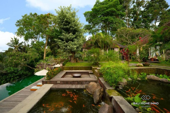 Image 15 from 8 Bedroom Jungle View Villa For Sale In Ubud