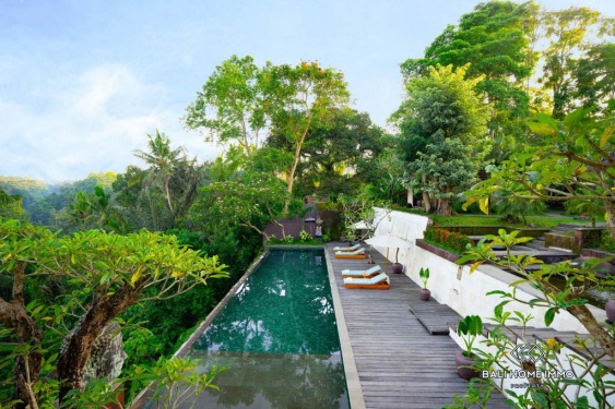 Image 14 from 8 Bedroom Jungle View Villa For Sale In Ubud
