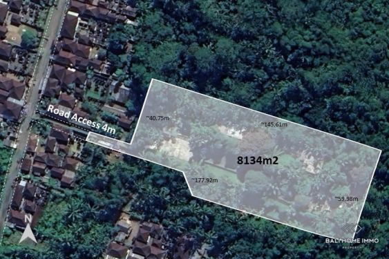 Image 1 from 81.3 Are Land for sale freehold in Bali North Ubud Tegallalang