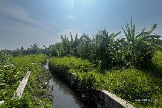 Image 6 from 3 plots of land totaling 82 are for sale leasehold in Buduk near Pererenan