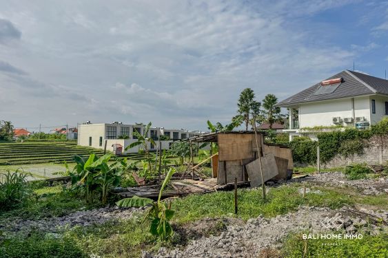 Image 3 from 8.5 are land with rice field for sale in Berawa