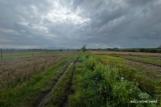 Image 2 from 87 ares terrain en bord de mer à vendre en location à Pasut Beach Tabanan