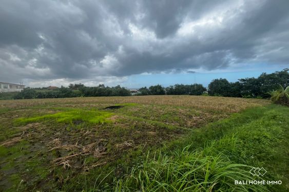 Image 2 from 87 ares terrain en bord de mer à vendre en location à Pasut Beach Tabanan