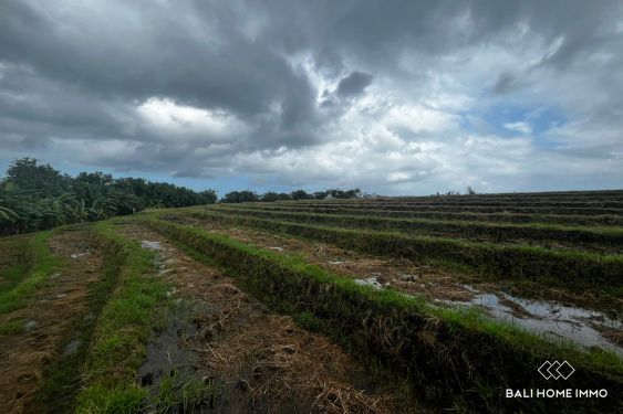 Image 2 from 87 are beachfront land for sale leasehold in Pasut Beach Tabanan