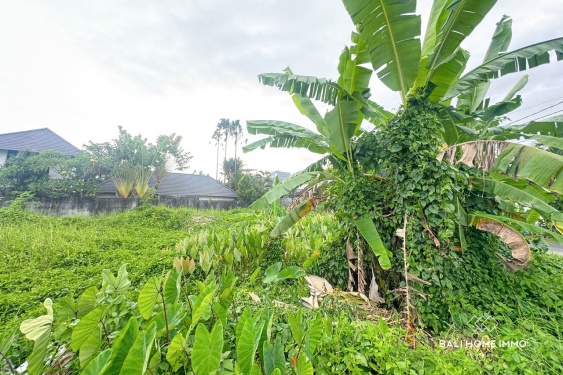 Image 3 from 9 Tanah Dijual Babakan Canggu