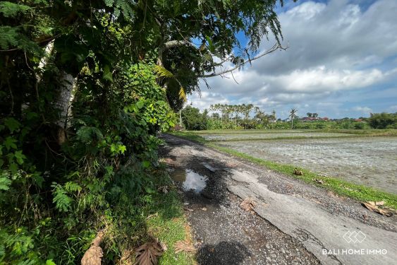 Image 2 from Dijual tanah 9 are view sawah di kedungu