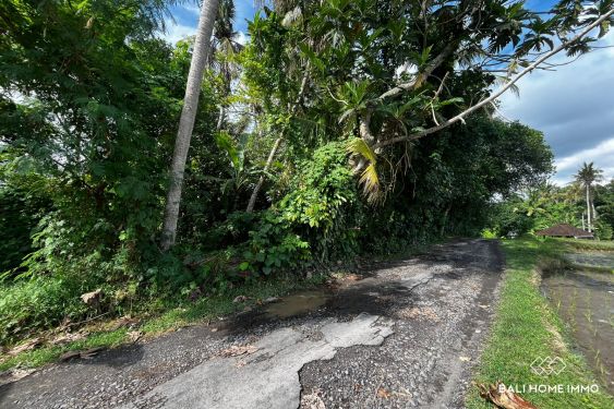 Image 2 from Dijual tanah 9 are view sawah di kedungu