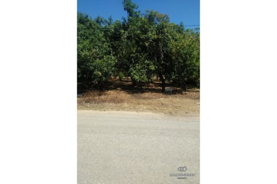 Image 5 from 92 are tanah Hak Milik di Pulau Sumba