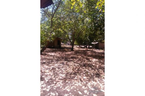 Image 4 from 92 are tanah Hak Milik di Pulau Sumba