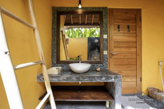 Image 20 from Vila Tropis Bali 3 Kamar Disewakan di Umalas