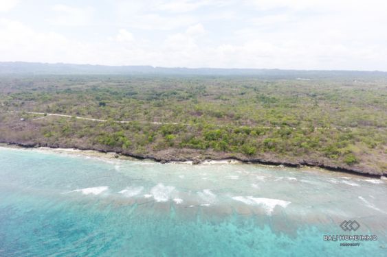 Image 3 from BEACHFRONT 72 ARE LAND FOR SALE FREEHOLD IN SUMBA