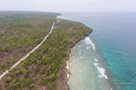 Image 3 from BEACHFRONT 72 ARE LAND FOR SALE FREEHOLD IN SUMBA