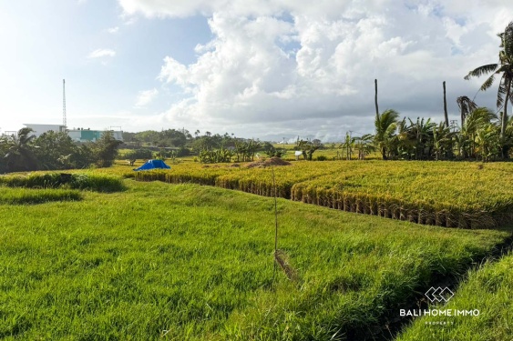 Image 4 from Beachfront 8.5 Are Land for Sale Freehold in Beraban Beach Tabanan Bali