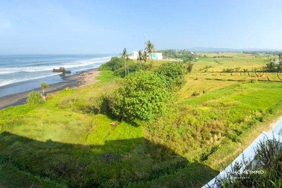 Image 9 from Beachfront 8.5 Are Land for Sale Freehold in Beraban Beach Tabanan Bali