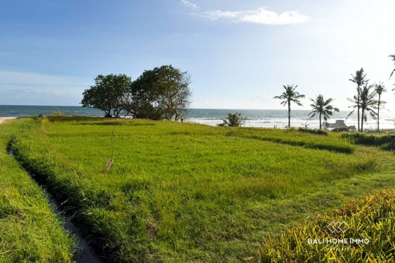 Image 3 from Beachfront 8.5 Are Land for Sale Freehold in Beraban Beach Tabanan Bali