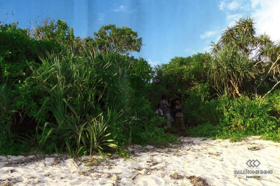 Image 4 from Dijual Tanah Tepi Pantai 99,23 are di Sumba