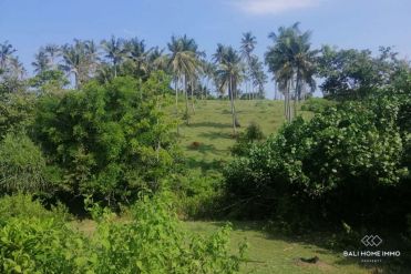 Image 3 from Beachfront Land For Sale Freehold in Balian -  Tabanan