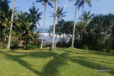 Image 2 from Beachfront Land For Sale Freehold in Balian -  Tabanan