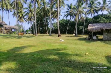 Image 2 from Beachfront Land For Sale Freehold in Balian - Tabanan