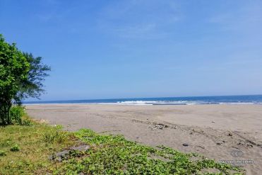 Image 3 from Beachfront Land For Sale Freehold in Balian - Tabanan