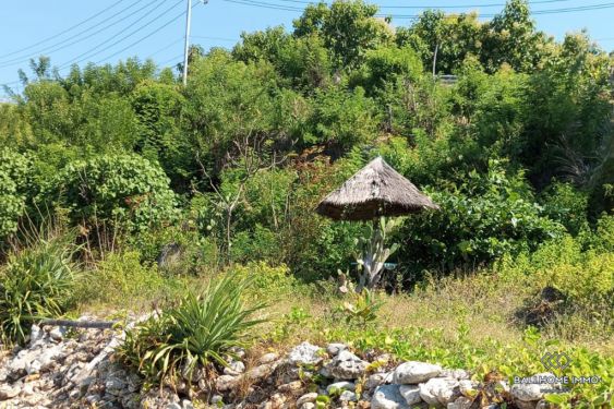 Image 5 from Tanah Tepi Pantai Dijual di Nusa Penida