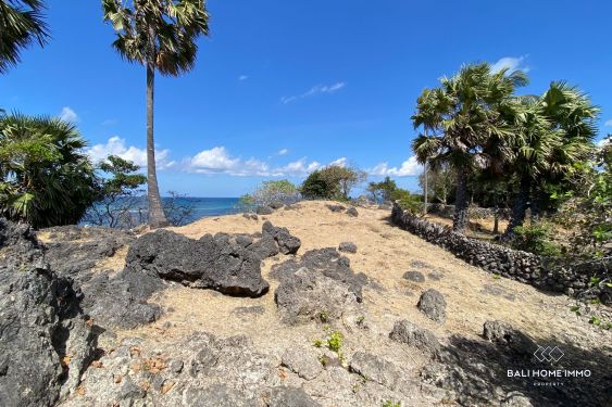 Image 3 from Dijual tanah tepi pantai Hak Milik di Pulau Rote
