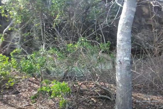 Image 2 from Dijual Tanah Pinggir Pantai Hak Milik di Sumbawa
