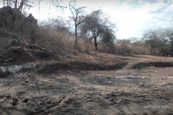 Image 5 from Dijual Tanah Pinggir Pantai Hak Milik di Sumbawa