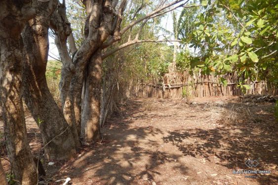 Image 4 from Terrain en bord de mer à vendre en pleine propriété sur l'île de Mojo à Sumbawa