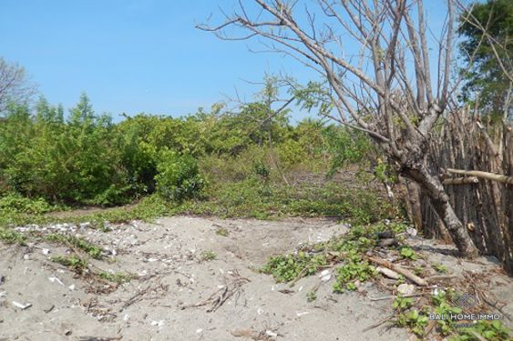 Image 6 from Terrain en bord de mer à vendre en pleine propriété sur l'île de Mojo à Sumbawa