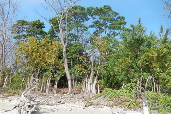 Image 5 from Terrain en bord de mer à vendre en pleine propriété sur l'île de Mojo à Sumbawa
