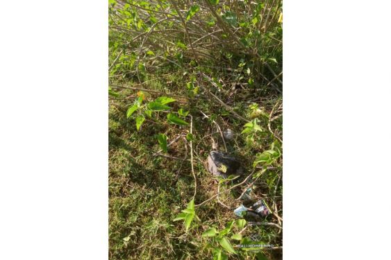 Image 6 from Terrain en bord de mer à vendre dans le nord de Lombok près des îles Gili