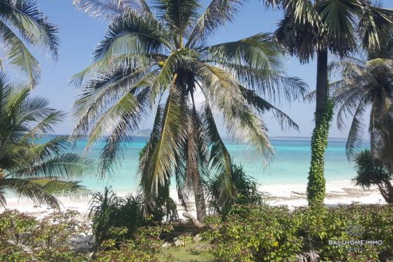 Image 2 from Beachfront Land for Sale Leasehold in Rote Island