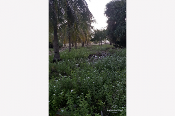 Image 6 from Terrain en bord de mer à vendre en location sur l'île de Rote