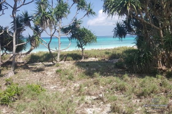 Image 5 from Terrain en bord de mer à vendre en location sur l'île de Rote