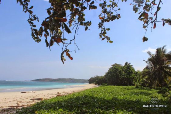 Image 3 from Beachfront Land for Sale Freehold in Sumba