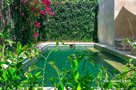 Image 4 from STATION BALNÉAIRE À VENDRE EN PLEINE PROPRIÉTÉ À GILI TRAWANGAN