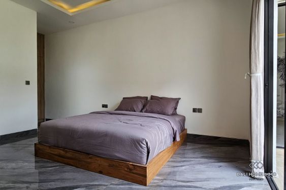 Image 12 from Beautiful 3 Bedrooms villa for sale and rent in Bali - Padonan