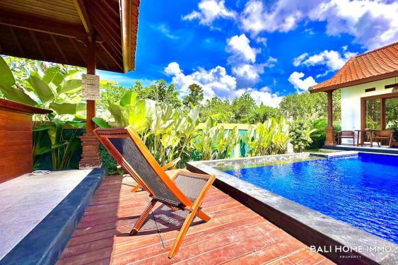 Image 3 from 1 Bedroom Guesthouse unit for monthly rental in Bali - Canggu