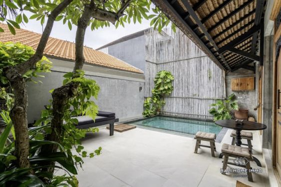Image 13 from Beautiful 1 Bedroom Villa for Sale Leasehold in Bali Canggu Berawa
