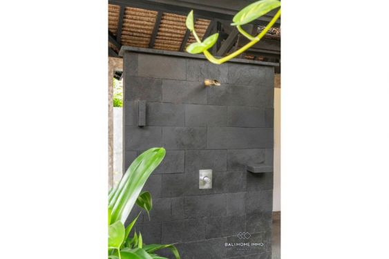 Image 12 from Beautiful 1 Bedroom Villa for Sale Leasehold in Bali Canggu Berawa