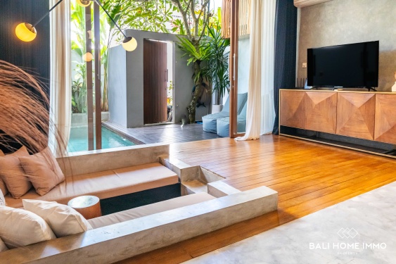 Image 2 from Villa 1 Kamar Tidur Cantik Dijual Hak Milik di Bali Canggu - Batu Bolong