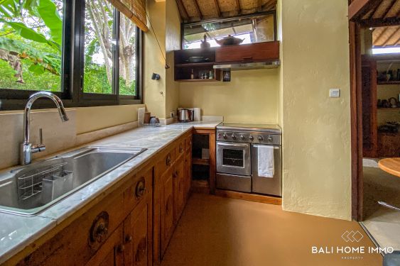 Image 3 from Spacieuse Villa d'une chambre à vendre en location à Bali Pererenan