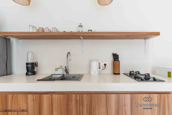 Image 9 from Beautiful 1 Bedroom villa with rooftop for sale leasehold in Canggu Bali