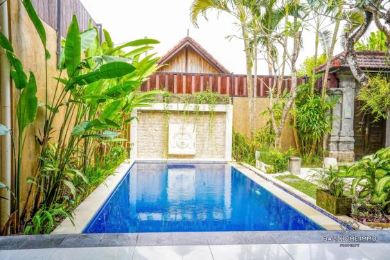 Image 2 from Vila 2 Kamar Tidur yang Indah Disewakan di Bali Kerobokan