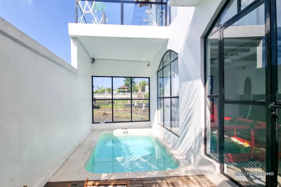 Image 3 from Beautiful 2 Bedroom Villa for Rentals in Bali Canggu Residential Side