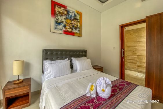 Image 15 from Beautiful 2 Bedroom Villa for Sale and Rent in Bali near Canggu & Umalas