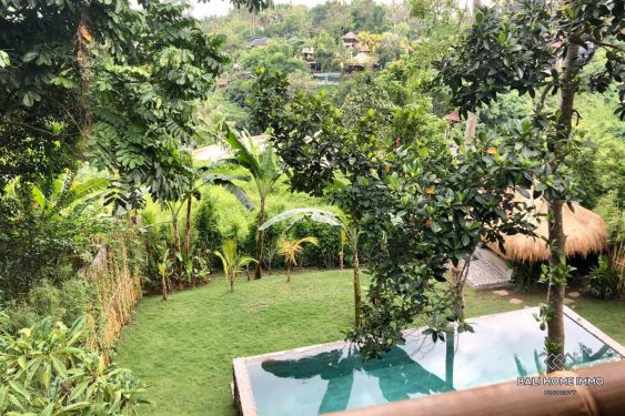 Image 10 from Spacious 2 Bedroom villa with garden for sale and rent in Bali Ubud